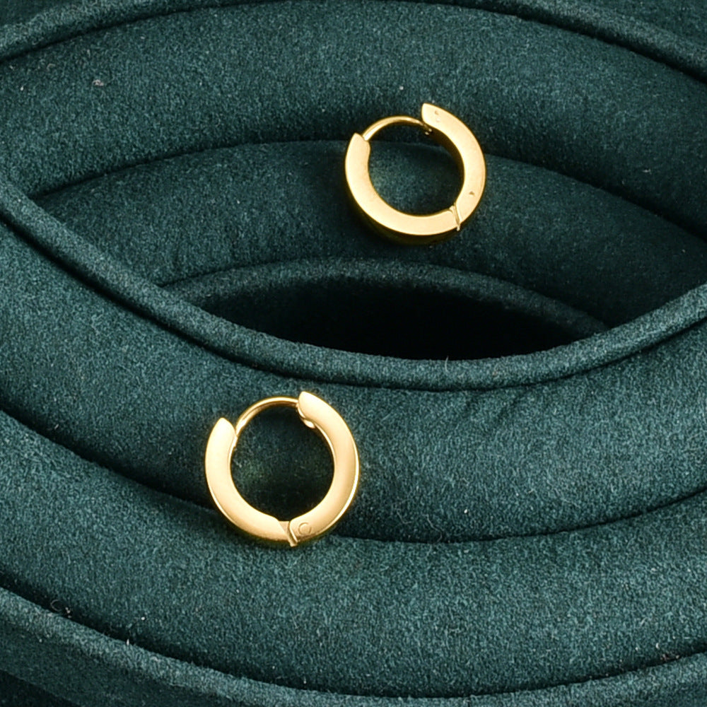 18K Gold Plated Titanium Earrings