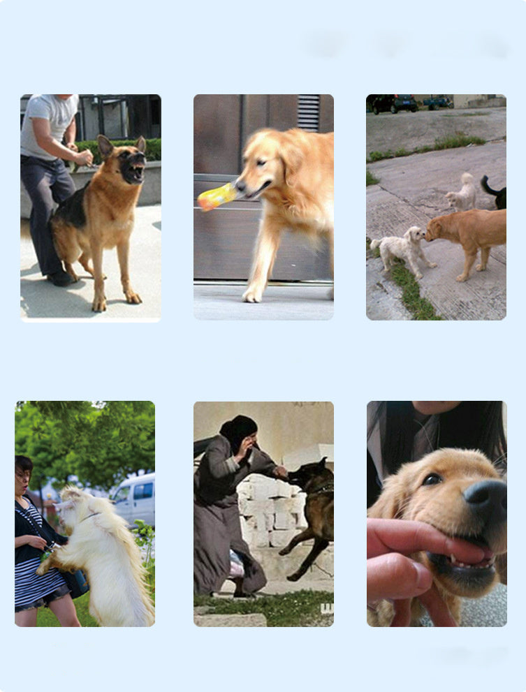 Rechargeable Remote Control Dog Training Rechargeable Bark Stopper