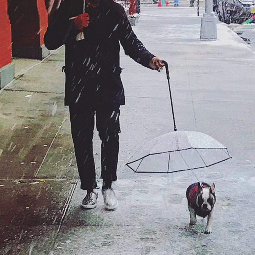 Transparenter Regenschirm für Hunde mit abnehmbarer Zugkette