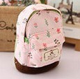 Korean pastoral small Suihua mini small hasp cute fashion change key bag