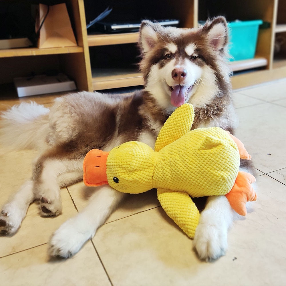 Hundespielzeug Plüsch Bissfestes Haustierzubehör
