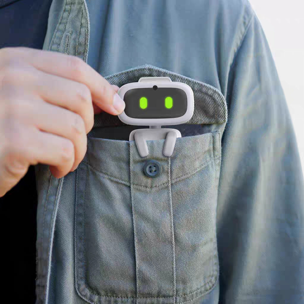 Pocket Robot Intelligent Support GPT With Camera