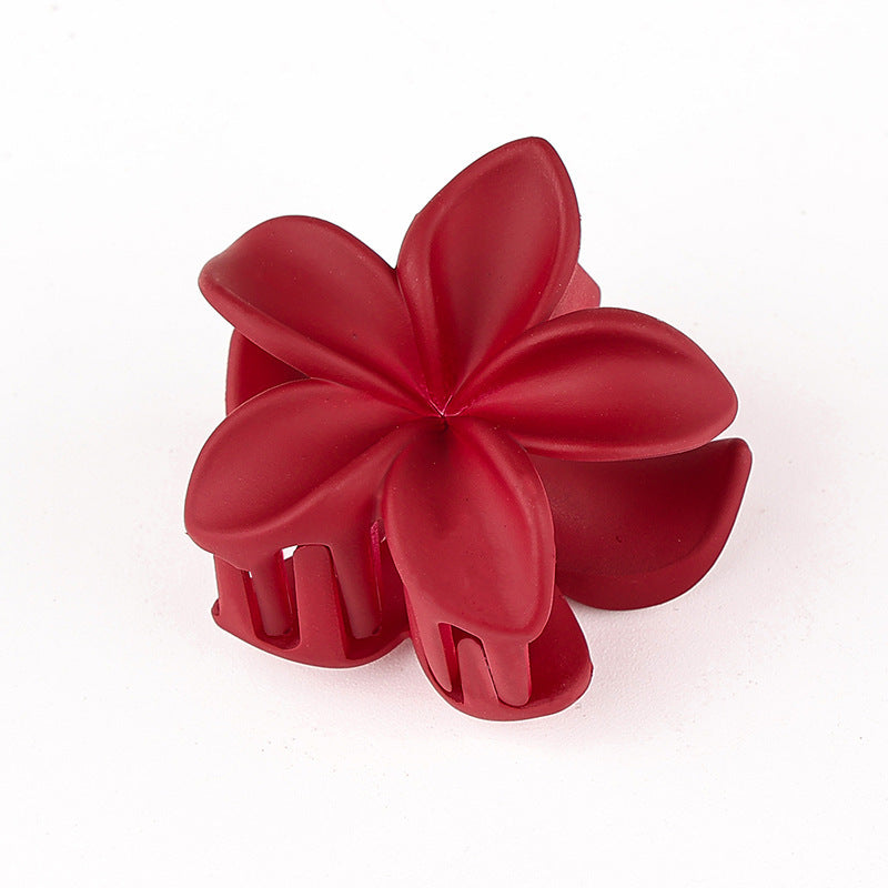 Retro Sweet Hair Claw Clip
