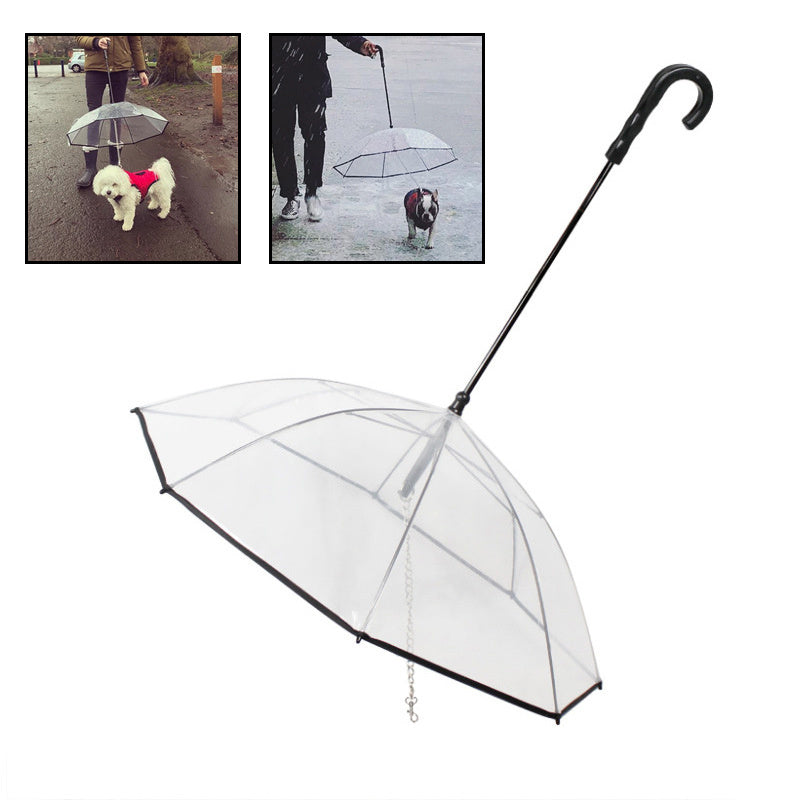 Transparenter Regenschirm für Hunde mit abnehmbarer Zugkette