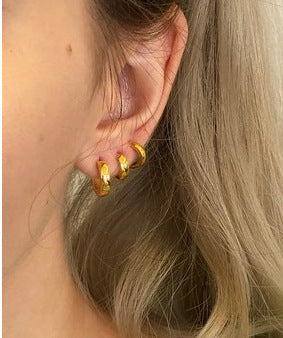 18K Gold Plated Titanium Earrings