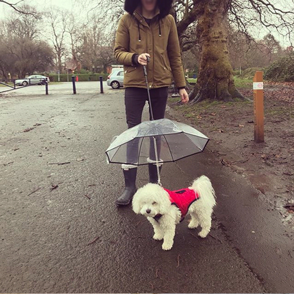 Dog's Transparent Umbrella With Traction Chain Removable