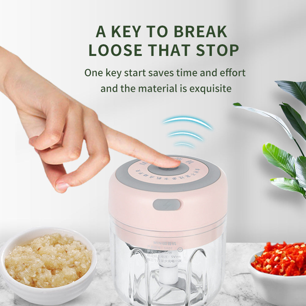 Mini Electric Chopper USB Charging