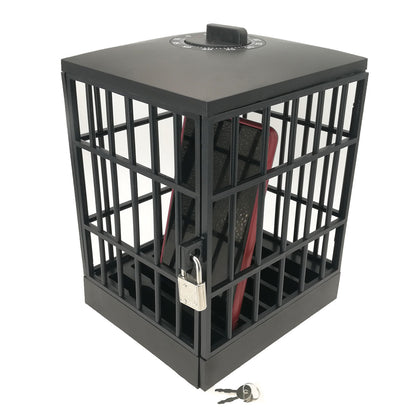 Cell Phone Timer Prison