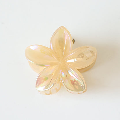Retro Sweet Hair Claw Clip