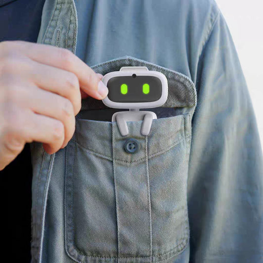 Pocket Robot Intelligent Support GPT With Camera