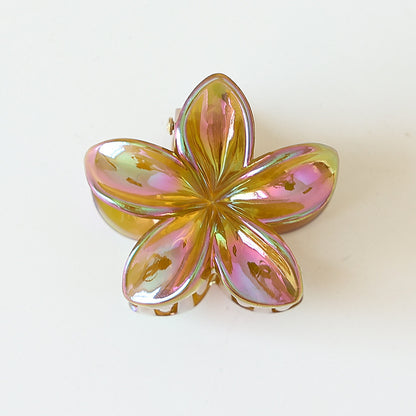 Retro Sweet Hair Claw Clip