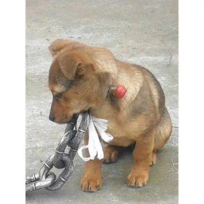 Simulation Iron style Plastic Pet Dogs Chain Chamber