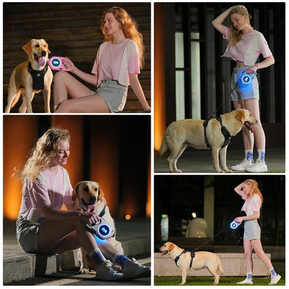 New Automatic Retractable Dog with Leash  LED Light