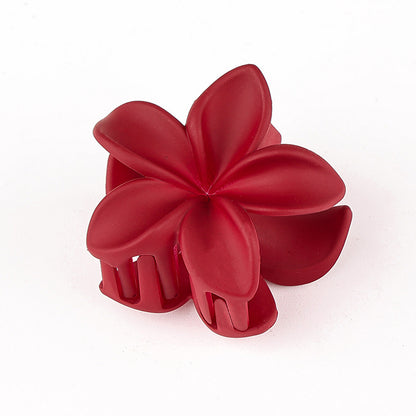 Retro Sweet Hair Claw Clip