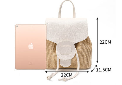 Leisure Travel Backpack Women Mini Straw Woven Bag