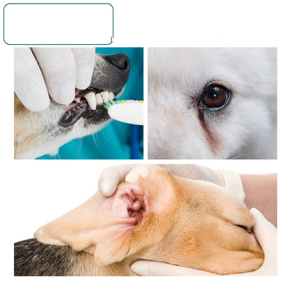 Pet Teeth Cleaning Wipes
