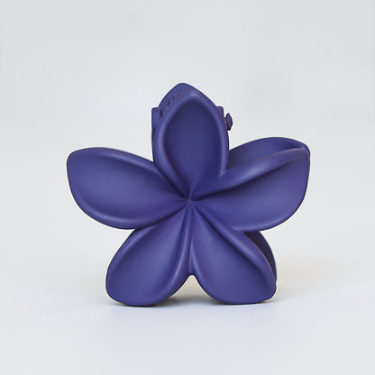 Retro Sweet Hair Claw Clip