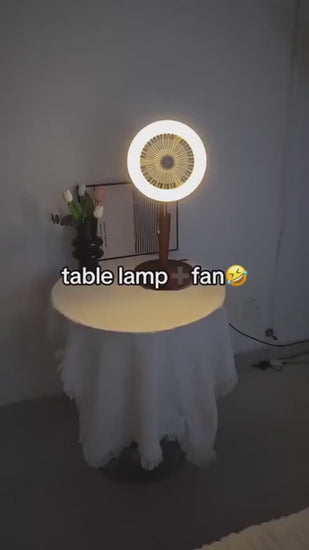 1.mp4
