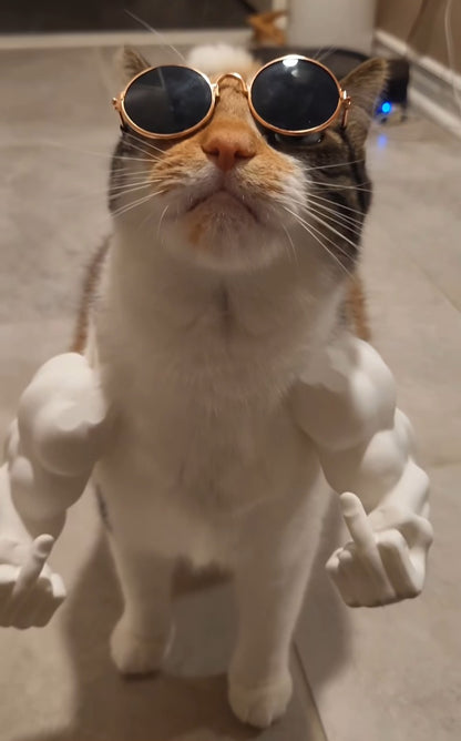 Pet Cat Muscle Arms